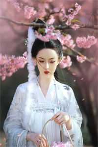 我离开后，姐姐未婚妻后悔了后续+全文