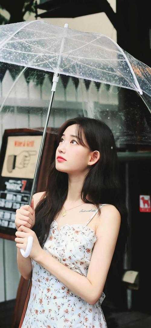 发财树全文