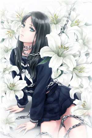 玫瑰法则后续+全文