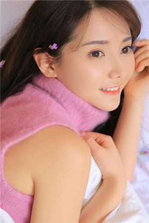 夏稚小说