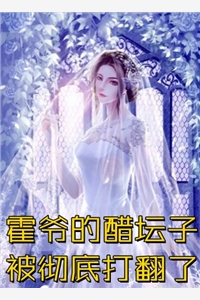 姜昭意盛西辞的小说寻你寻不到归期免费阅读