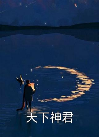 官婿凶猛赵阳秦雨柔全章节免费阅读