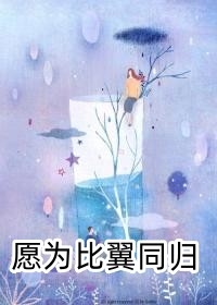一千零一次泪流小说魏恒林桑榆