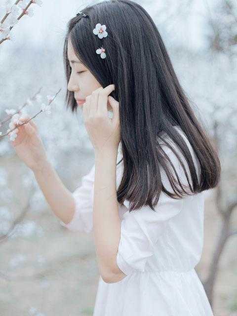 我靠弹幕虐渣完结文